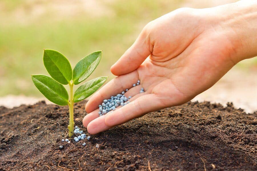 Organic and Natural Fertilizers